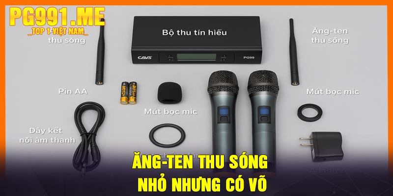 Ăng-ten Thu Sóng – Nhỏ Nhưng Có Võ