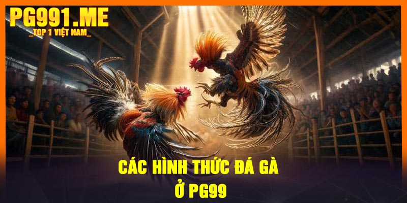 Các hình thức đá gà ở PG99