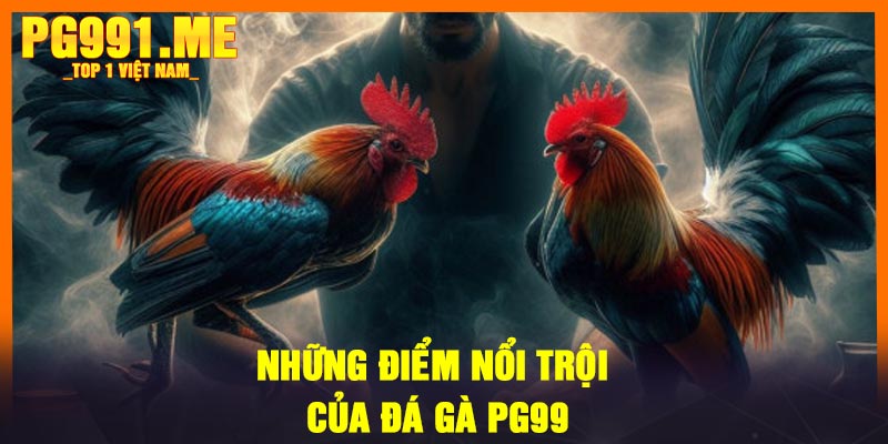 Những điểm nổi trội của đá gà PG99